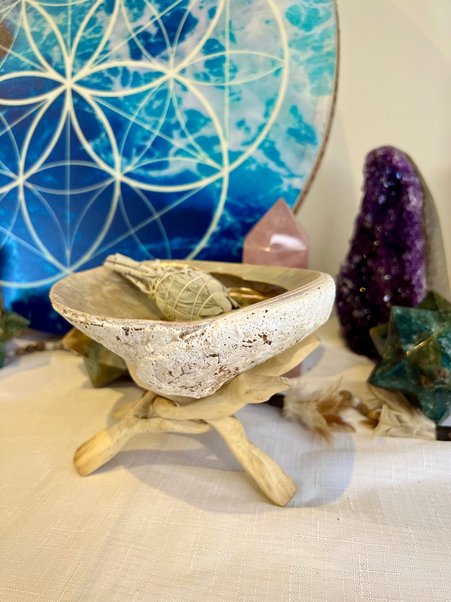 Abalone smudging shell and stand set, front view