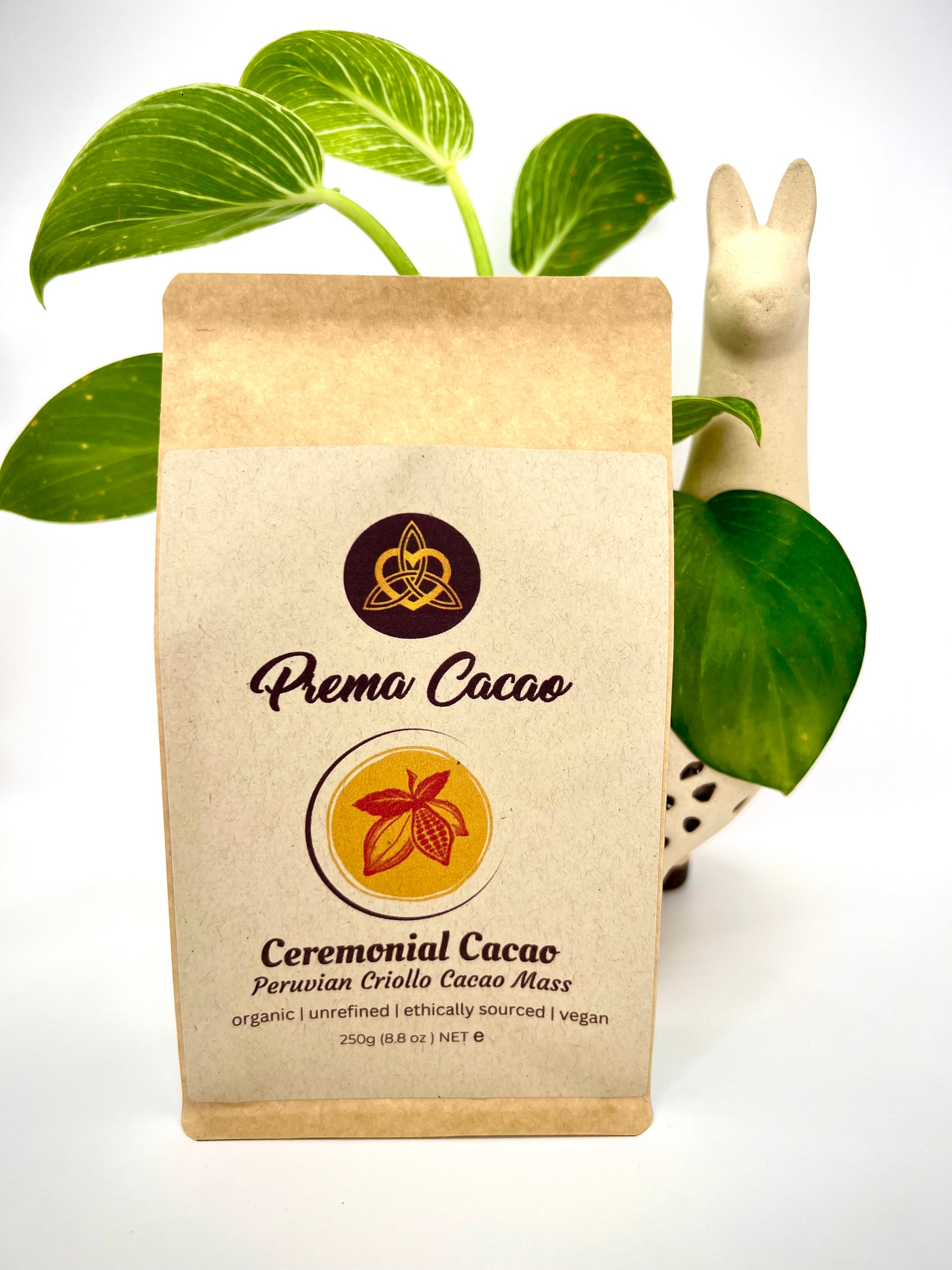 Ceremonial Cacao Block Front packet plain