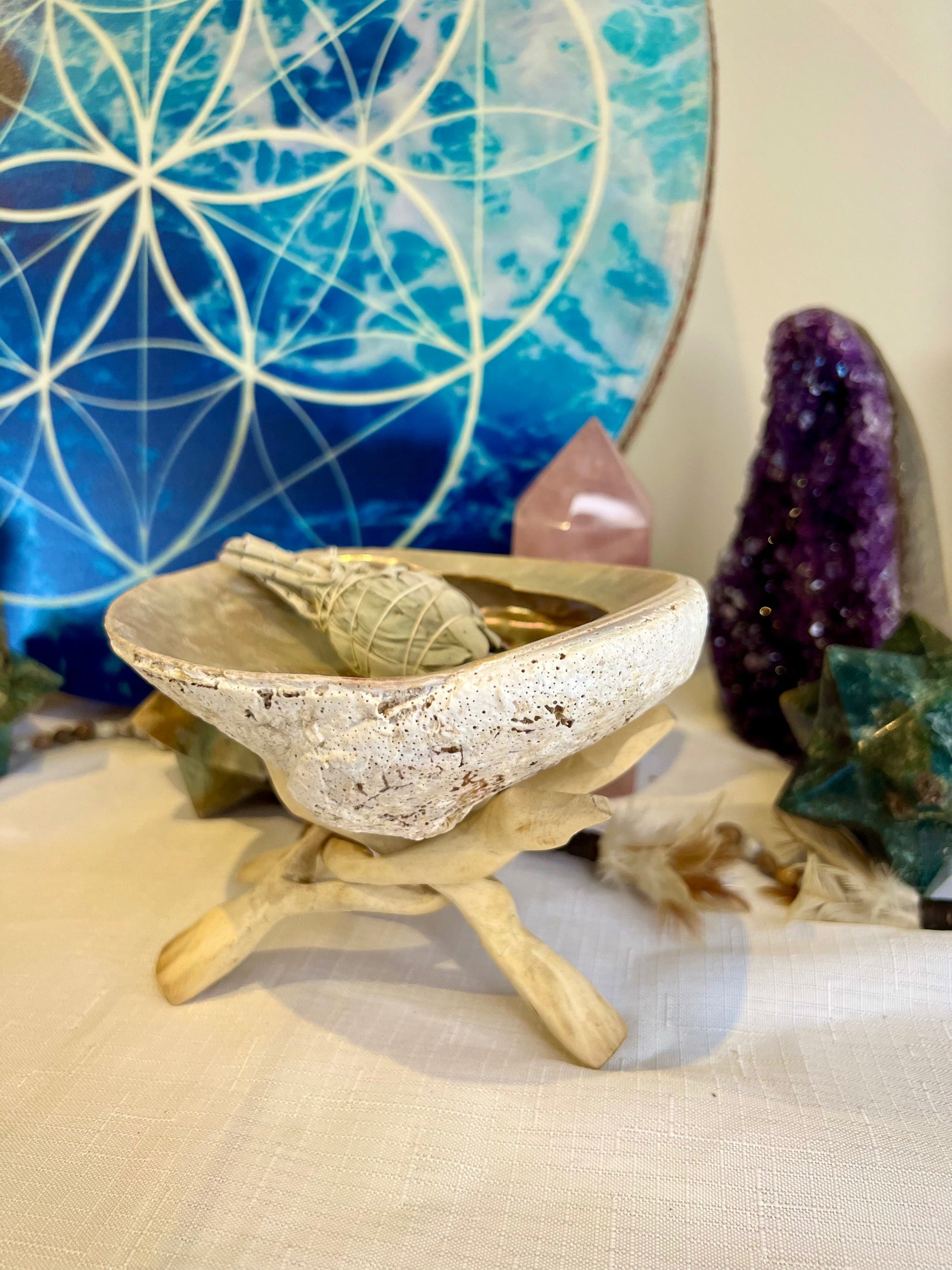 Abalone smudging shell and stand set, front view