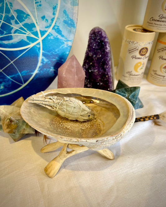 shell for cleansing with stand and stick