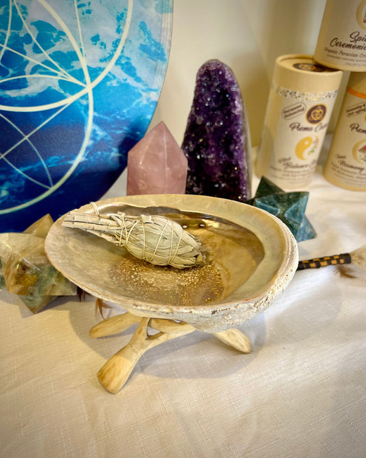 Abalone smudge shell with wooden stand and sage stick